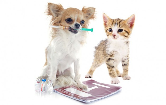 Pet Vaccinations
